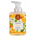 Chateau Propre Foaming Hand Soap Golden Citrus 500ml